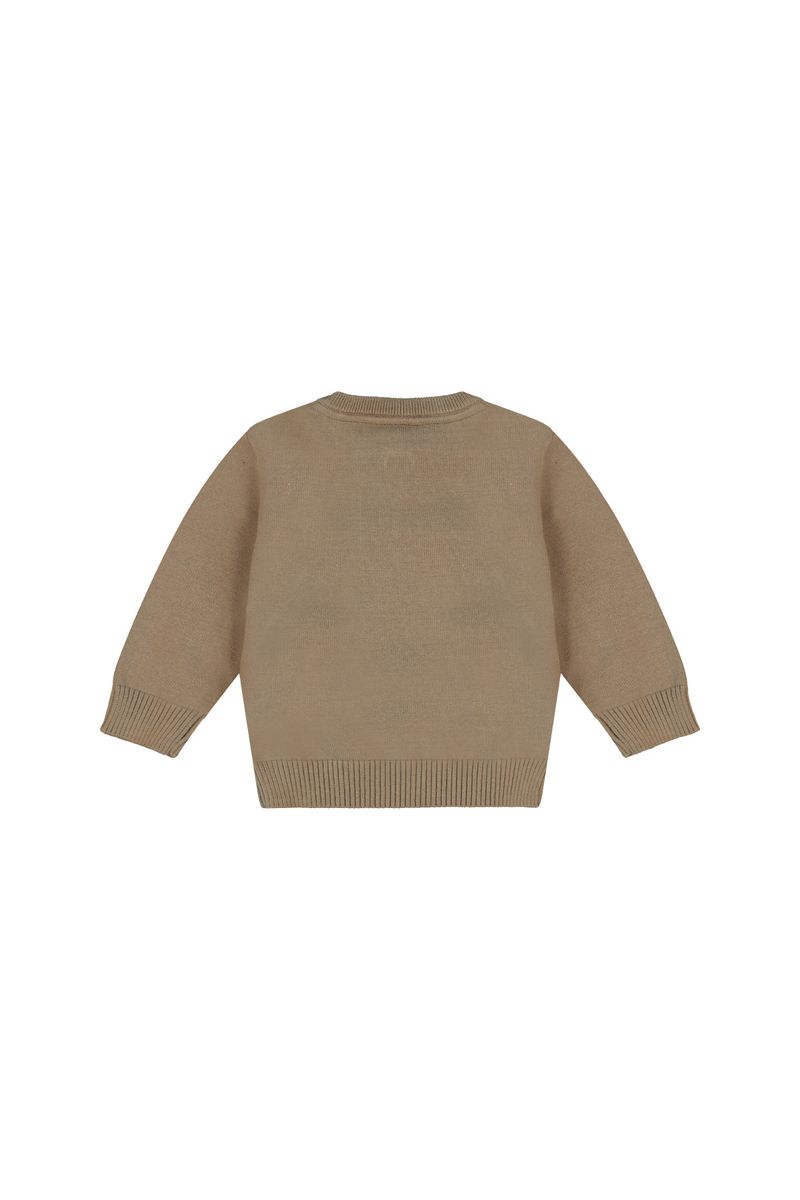 סווטשירט REPLAY לוגו מותג בצד לתינוקות BROWN / 3-6M