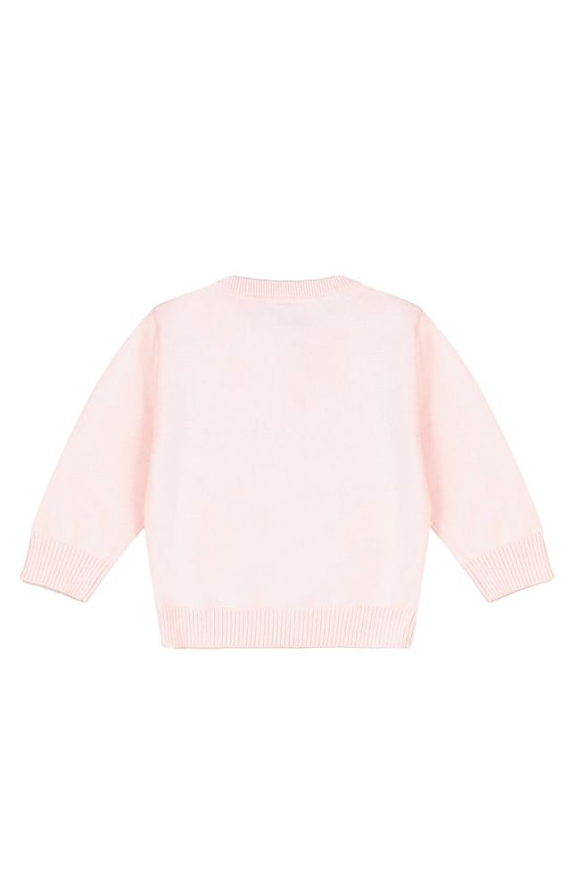 סווטשירט REPLAY לוגו מותג בצד לתינוקות Pink / 3-6M