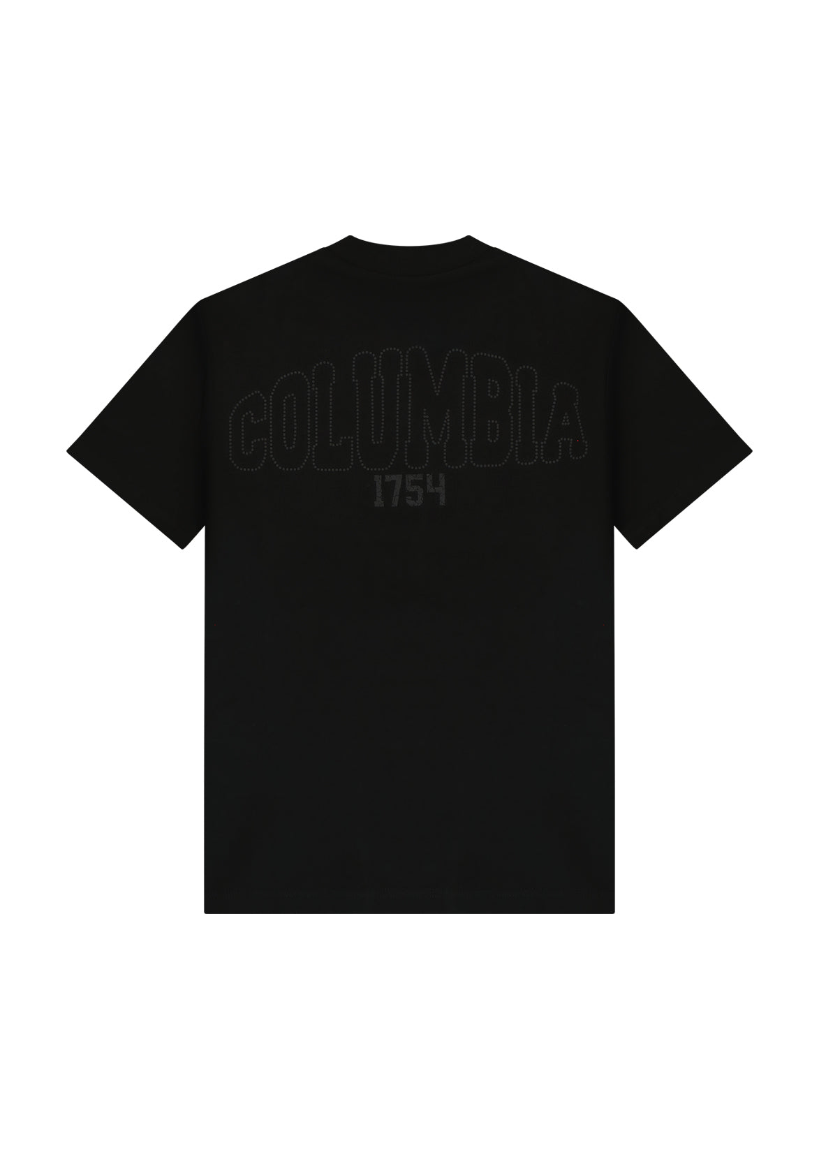 חולצת טישרט COLUMBIA לוגו גדול קלאסי לילדים