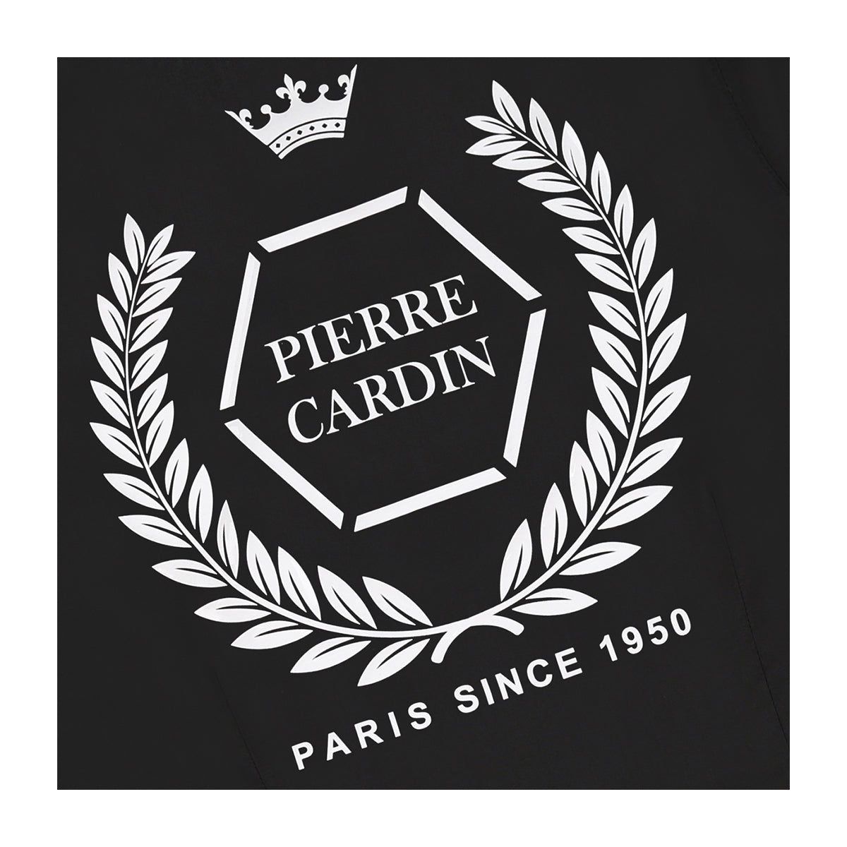 חולצה מכופתרת PIERRE CARDIN לוגו שלט אצולה לילדים