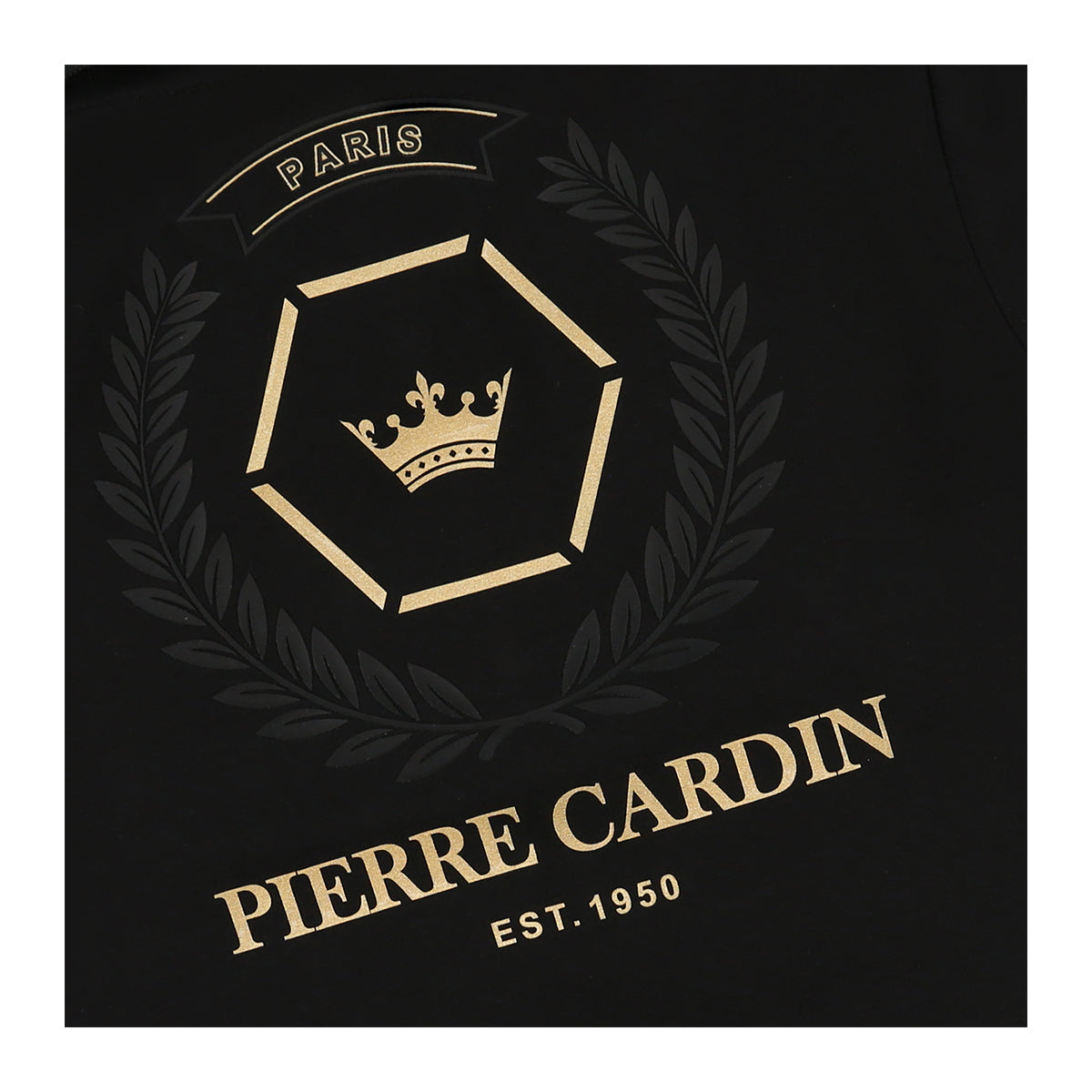 חולצת צווארון PIERRE CARDIN לוגו שלט אצולה לילדים
