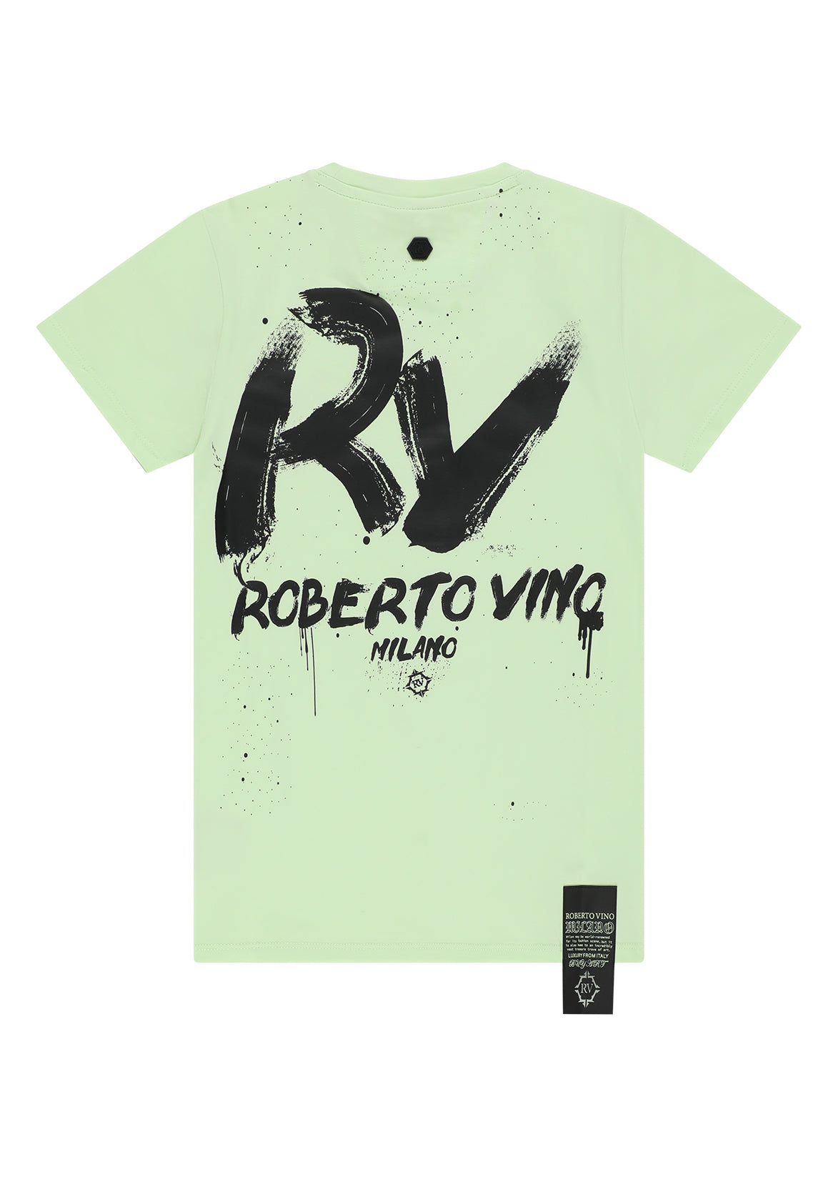 חולצת טישרט ROBERTO VINO לוגו מודגש בחזית וכיתוב דקורטיבי לילדים Green / 2Y