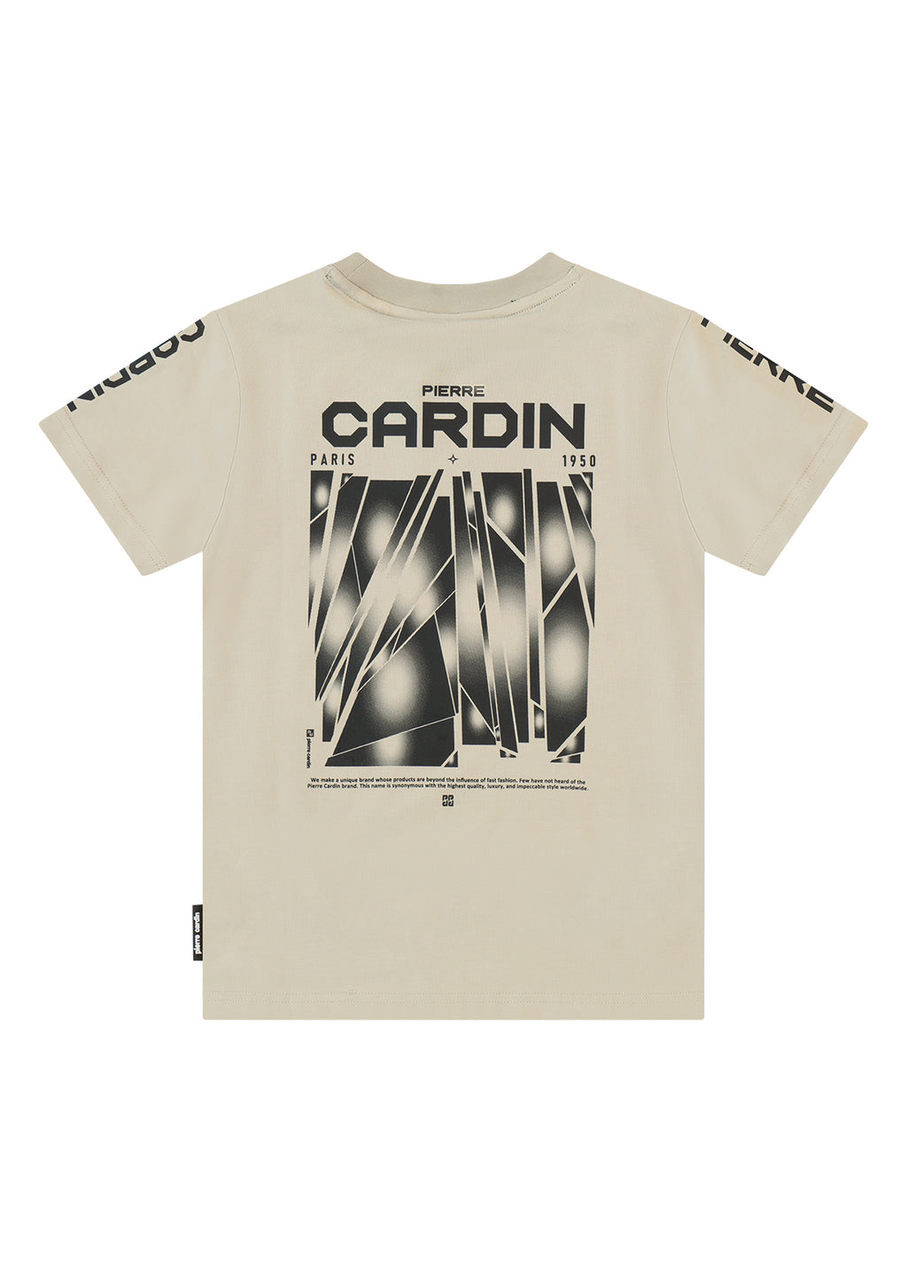 חולצת טישרט PIERRE CARDIN הדפס לוגו גדול וטקסט בולט בחזית לילדים Green / 2Y